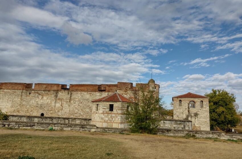  Oltenia de dincolo de Dunăre: Teodora, fiica de domnitor român și soție și bunică de țar bulgar