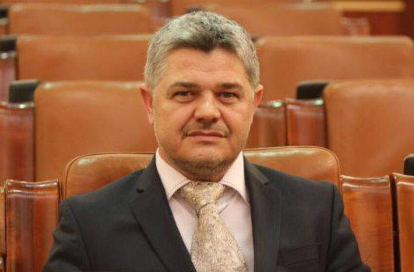  O lecție de loialitate și sacrificiu inspirată de lupi